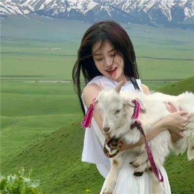 私立荒矶高等学校生徒会执行部